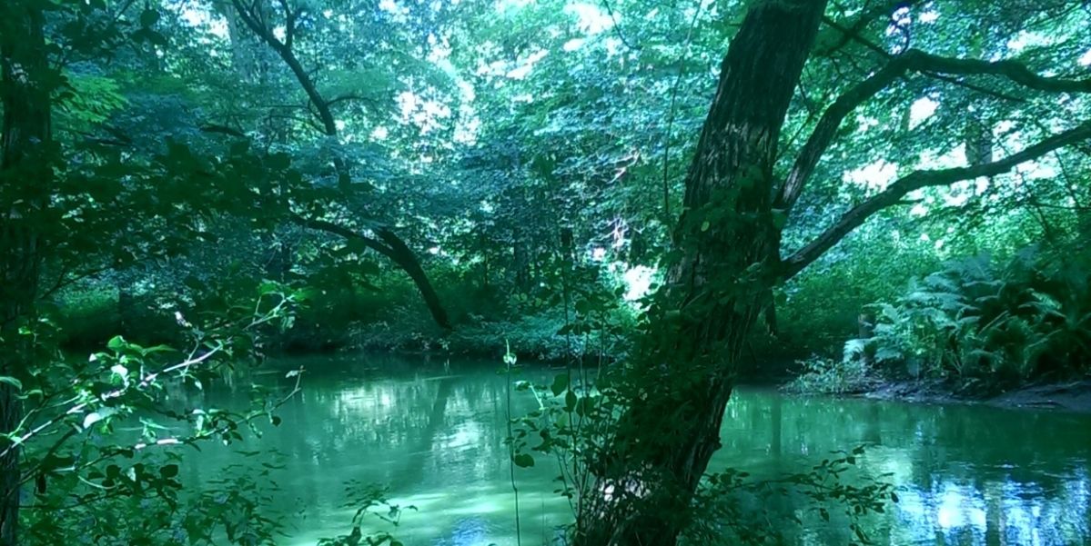 Spreewald Ausschnitt